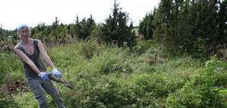 Kadakatalgud (nr 1) Vilsandil