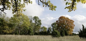 Pärandkoosluste tundmaõppimise talgud Matsalus