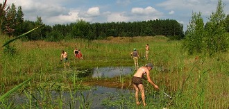 Kõretalgud Luitemaal Võidukülas