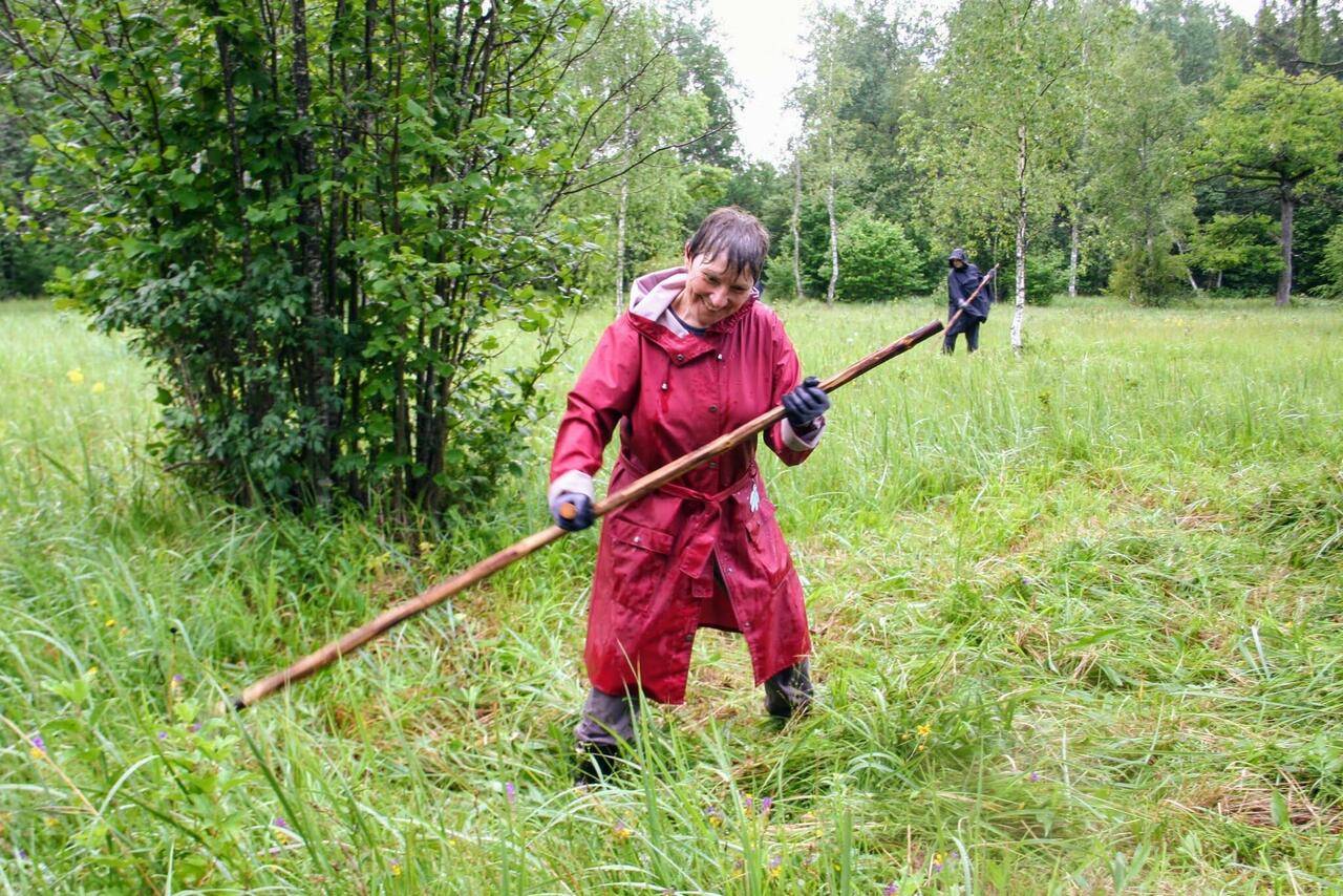ELFi Loodustalgud – Maie Matiek aasta vabatahtlikuks